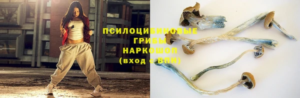 дмт Алзамай