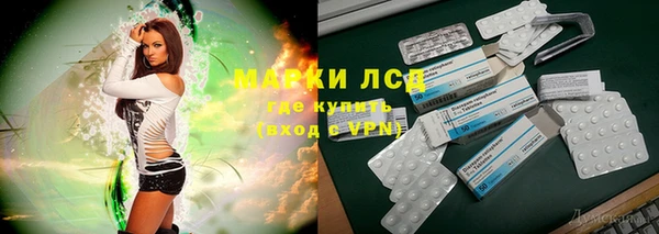 дмт Алзамай