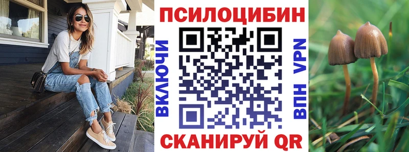 Псилоцибиновые грибы Cubensis Сосенский